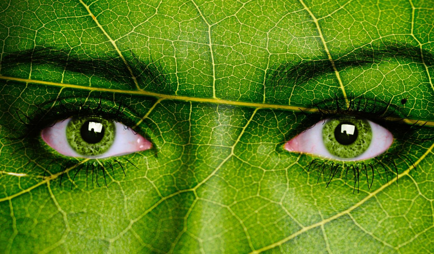 FONDAZIONE EARTH AND WATER AGENDA